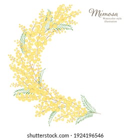 Hand drawn illustration of mimosa
Circle frame