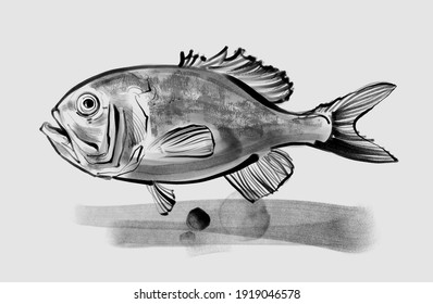 Hand Drawn Illustration Of A Orange Roughy Fish