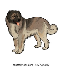 10,909 Caucasian shepherd dog Images, Stock Photos & Vectors | Shutterstock