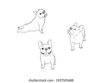 Hand drawn illustrations of French Bulldog breed on white background line pencil style. Design for web, wallpaper, posters, banner logo, advertising and etc.