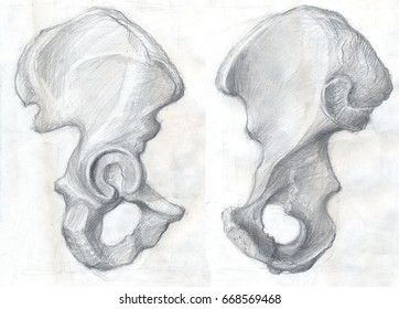 Hand drawn illustrations the