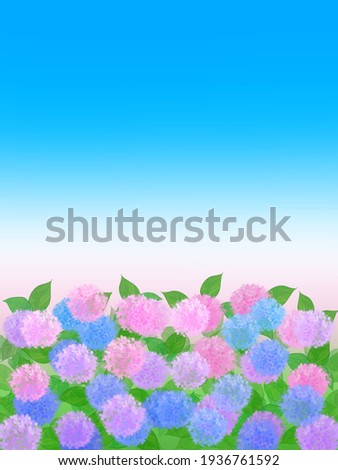 Hand drawn illustrations protrait of Hydrangea on blue sky background.