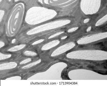 Hand Drawn Image. Digital Texture. Crayon Hand Drawn Image. Pen Swirled Picture. Network Fractal Artwork. Monochrome Crayon Neuro Sketch. Geometric Ornate Sketch. Abstract Spiral Print.