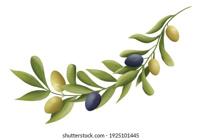 手描きのオリーブの枝 オリーブのイラストクリップアート 植物イラスト オリーブの枝の並び のイラスト素材 Shutterstock