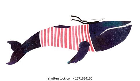 Hand Drawn Large Watercolor Dark Blue Whale In A Red Striped T-shirt And Peaked Cap On A White Background. The Color Of The Night Sky With Stars.