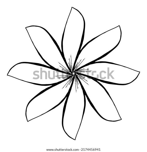 Hand Drawn Line Art Drawing Flowersketch Stock Illustration 2174456941 ...