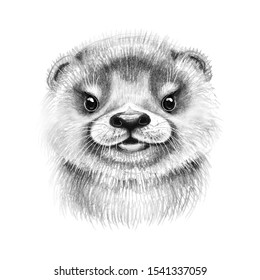 Hand Drawn Monochrome River Otter Cub Portrait.  Pencil Drawing Cartoon Illustration Of Cute Furry Animal Isolated On White Background.