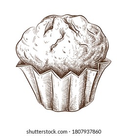 Hand Drawn Muffin Isolated On White. Sketch Of Fresh Baked Muffin In Vintage Style. Engraved Pastry Illustration. Sweet Dessert Pie Or Cookie Ink Drawing For Label, Logo, Bakery Menu, Posters Design