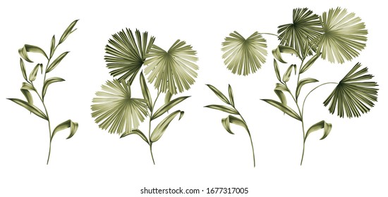 İsolated Hand Drawn Palm Leaf, Tropical Pattern Elements.