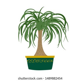 Hand Drawn Ponytail Palm Tree Houseplant With Dark Green Decorative Plant Pot - Isolated On White Background