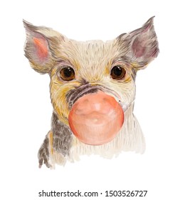 Hand drawn portrait of Pig with bubblegum. Isolated on white. Cute watercolor illustration 