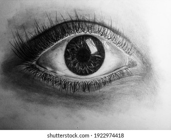 Hand Drawn Realistic Eye Drawing In Black And White