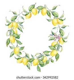 Hand Drawn Round Frame Watercolor Lemon Stock Illustration 342992582 ...