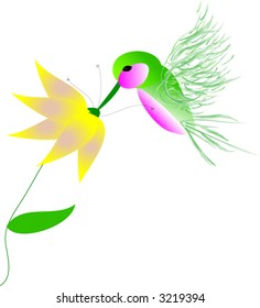 hand drawn ruby throated hummingbird getting snack from flower