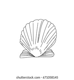 Seashell Sea Shell Nature Scallop Ocean Stock Vector (Royalty Free ...