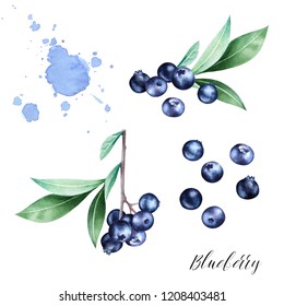 Hand drawn  set  of blueberries with leaves. Isolated watercolor berry illustration.