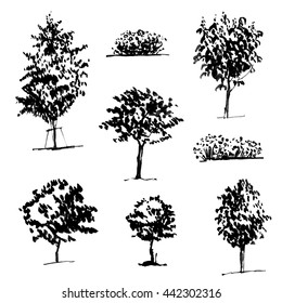 Sketch Trees Set Hands Drawn Silhouette Stock Vector (Royalty Free ...