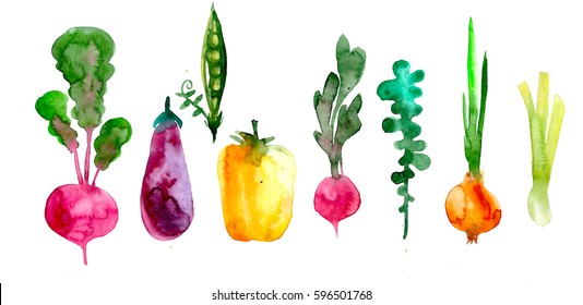 hand drawn set with watercolor vegetables. food. Beets, eggplant, pea, yellow bell pepper, radish, arugula, onion, leek,