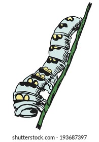 Hand Drawn, Sketch, Cartoon Illustration Of Caterpillar