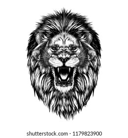 Lion Sketch Images Stock Photos Vectors Shutterstock