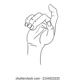 Hand drawn  Hand sketch  Reference  Line drawing  Line art  Hand in minimalistic style 