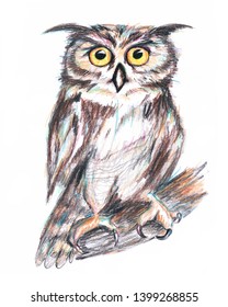 Hand drawn sketch sitting owl illustration
