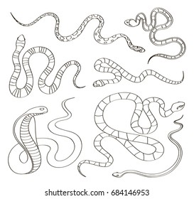 Hand Drawn Snake Set Snakes Elongated Stock Illustration 684146953