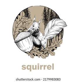 Hand Drawn Squirrel With Acorn, Sketch Graphics Illustration On White Background (originals, No Tracing)