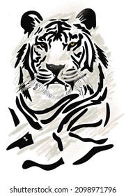 Hand Drawn Tiger Head Illustration