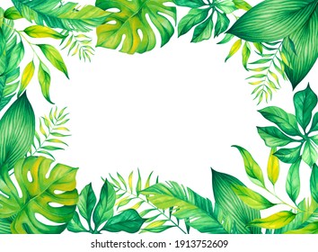 Colorful Watercolor Frame Border Colorful Tropical Stock Illustration ...