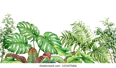 Hand Drawn Tropical Plants. Seamless Line Horizontal Border Made With Watercolor Exotic Green Rainforest Foliage On White Background. 