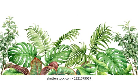 Hand Drawn Tropical Plants. Seamless Line Horizontal Border Made With Watercolor Exotic Green Rainforest Leaves On White Background. 