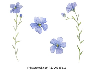 Flor lino azul y