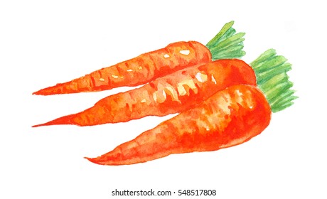 Hand Drawn Watercolor Carrot