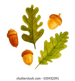 Hand Drawn Watercolor Cartoon Acorns.