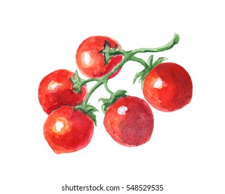 Hand Drawn Watercolor Cherry Tomato