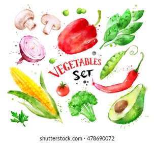 Hand drawn watercolor colorful set of vegetables with paint splashes. - Powered by Shutterstock