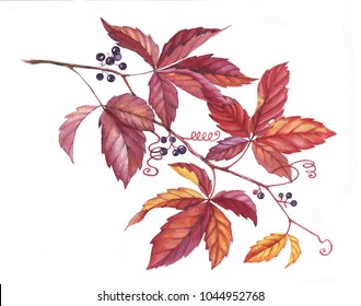 Watercolor Flowers Vines Images, Stock Photos & Vectors | Shutterstock