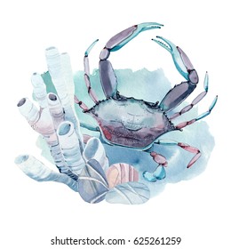 hand drawn watercolor crab. It's perfect for card, pattern design, postcard, banner, poster.