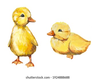 Hand Drawn Watercolor Duckling Illustration Stock Illustration 