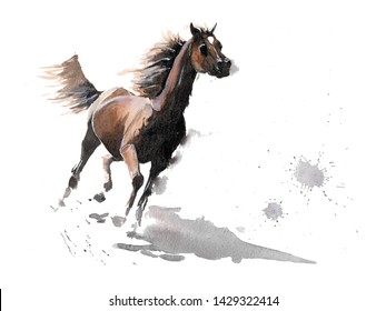 Hand drawn watercolor illustration Arabian brown horse for t-shirt, phone case, textile design or decoration
