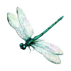 Hand Drawn Watercolor Illustration Of Green Dragonfly Isolated On White Background. Beautiful Insect Watercolor Drawing In Trendy Vintage Style. Flying Dragonfly With Transparent Wings.