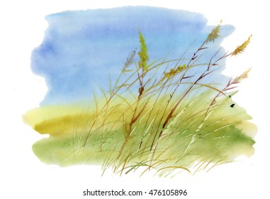 Hand Drawn Watercolor Illustration. Nature Landscape With Reeds.