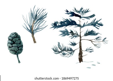 Hand drawn watercolor illustration pine set: cone, branches small pine tree. Isolated on white background