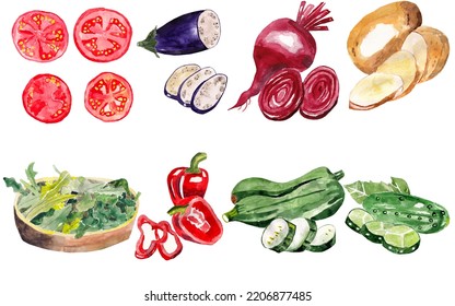 Hand Drawn Watercolor Illustration Set Of Chopped Vegetables On White Background. Colorful Background For Fabric, Wallpaper, Gift Wrapping Paper, Scrapbooking. Design For Children