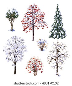 Hand drawn watercolor illustration  Set various winter trees   bushes  Evergreen   deciduous snow covered plants isolated white  Trees   shrubs without leaves 