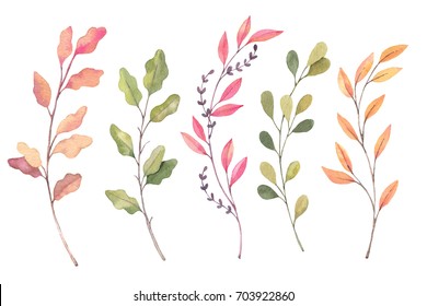 手描きの水彩イラスト 秋のボタニカルクリップアート 秋の葉 ハーブ 枝のセット 花柄 のデザインエレメント 招待 グリーティングカード ブログ ポスター 印刷に最適 のイラスト素材 Shutterstock