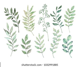 Hand drawn watercolor illustrations. Botanical clipart. Set of Green leaves, herbs and branches. Floral Design elements. Perfect for wedding invitations, greeting cards, blogs, posters and more