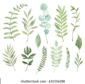 Hand drawn watercolor illustrations. Botanical clipart. Set of Green leaves, herbs and branches. Floral Design elements. Perfect for wedding invitations, greeting cards, blogs, posters and more