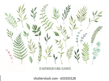 Hand drawn watercolor illustrations. Botanical clipart ( laurels, frames, leaves, flowers, swirls, herbs, branches). Floral Design elements. Perfect for wedding invitations, greeting cards, posters